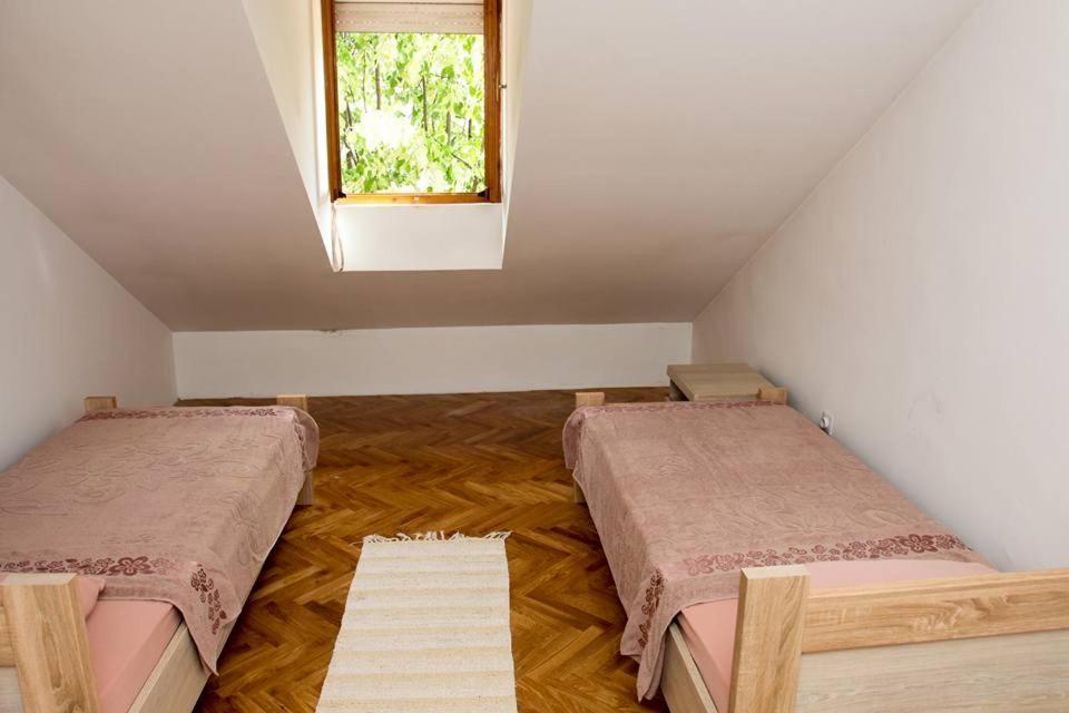Green House Цетине Екстериор снимка
